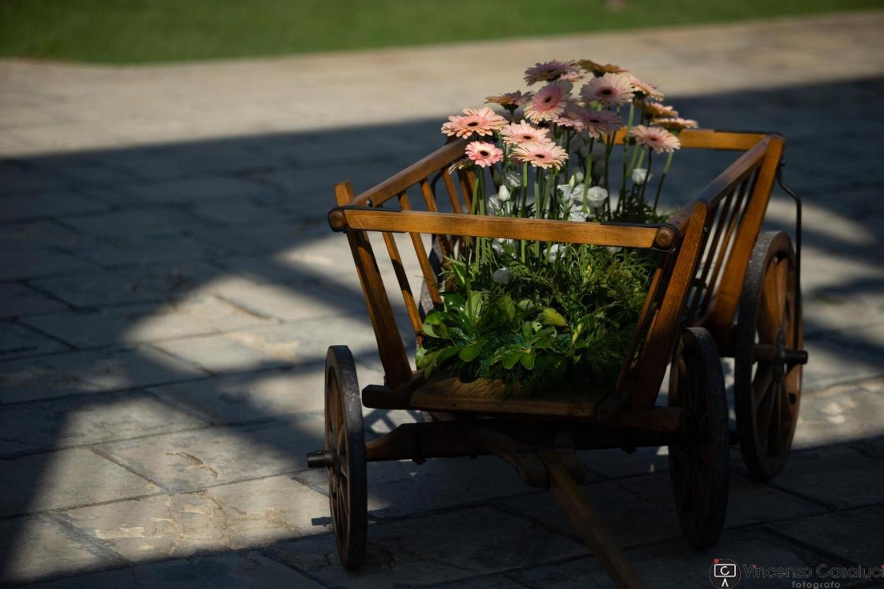 Collemeto La Dimora Dei Conti Bed & Breakfast エクステリア 写真