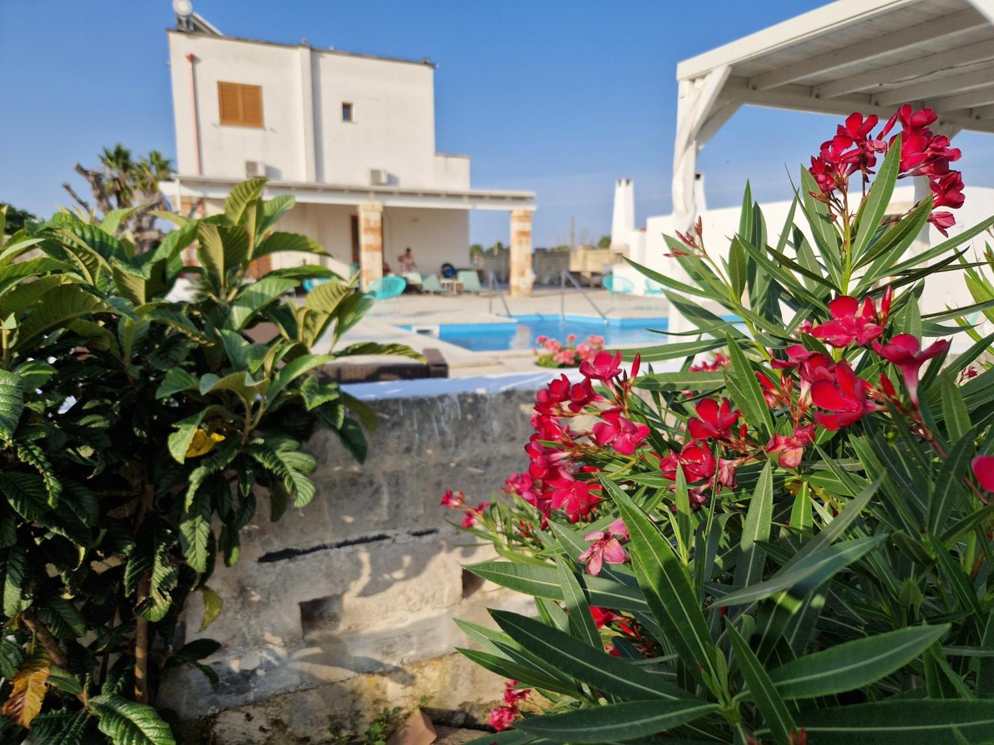 Collemeto La Dimora Dei Conti Bed & Breakfast エクステリア 写真